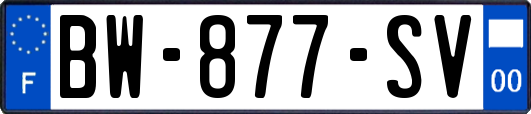BW-877-SV