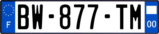 BW-877-TM