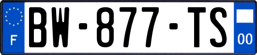 BW-877-TS