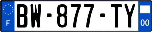BW-877-TY
