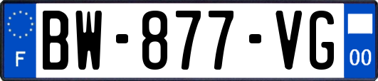 BW-877-VG