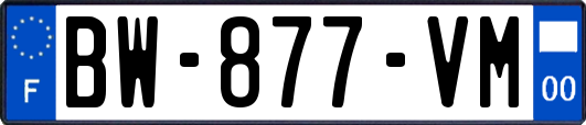 BW-877-VM