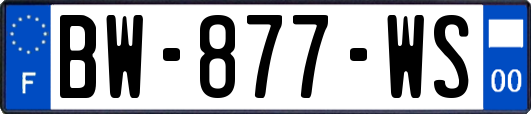 BW-877-WS