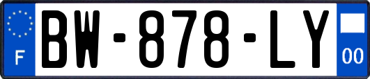 BW-878-LY