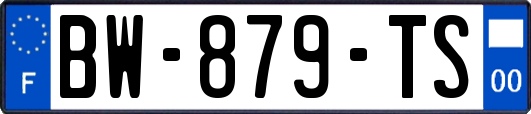 BW-879-TS