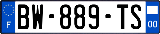 BW-889-TS