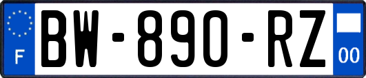 BW-890-RZ