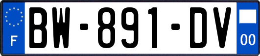 BW-891-DV