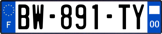 BW-891-TY