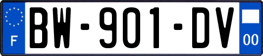 BW-901-DV