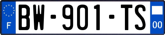 BW-901-TS