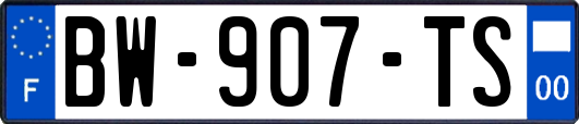 BW-907-TS