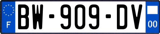 BW-909-DV