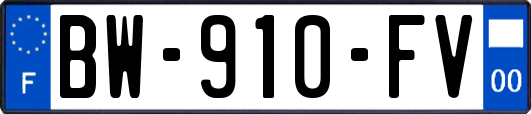 BW-910-FV