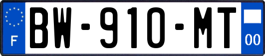 BW-910-MT