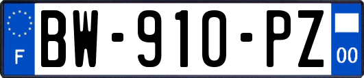 BW-910-PZ