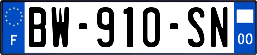 BW-910-SN