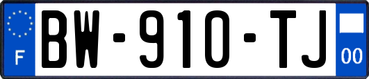 BW-910-TJ