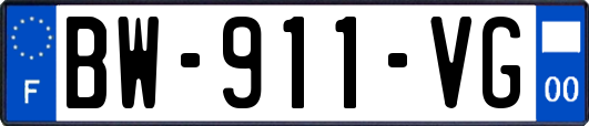 BW-911-VG