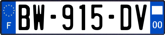 BW-915-DV