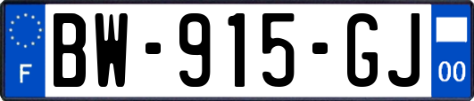 BW-915-GJ