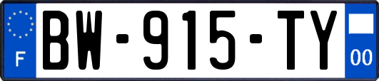 BW-915-TY