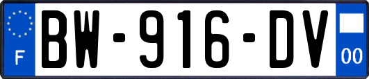 BW-916-DV