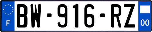 BW-916-RZ