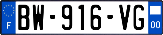 BW-916-VG