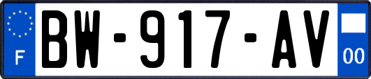 BW-917-AV