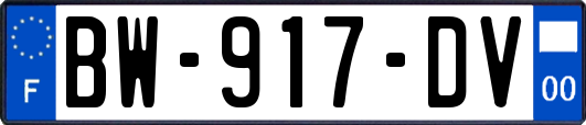 BW-917-DV