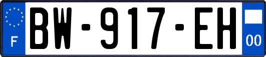 BW-917-EH