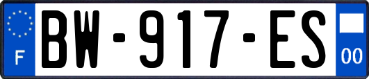 BW-917-ES