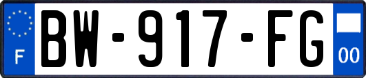 BW-917-FG