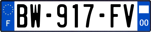 BW-917-FV