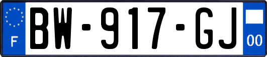 BW-917-GJ