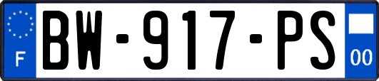 BW-917-PS