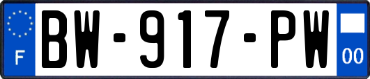 BW-917-PW
