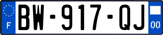 BW-917-QJ
