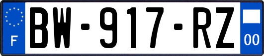 BW-917-RZ