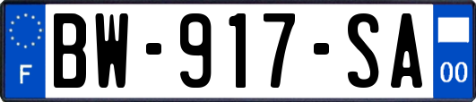 BW-917-SA