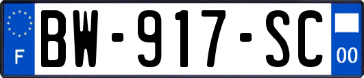 BW-917-SC