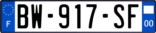 BW-917-SF