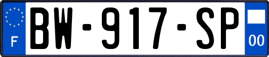 BW-917-SP