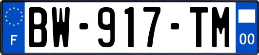 BW-917-TM