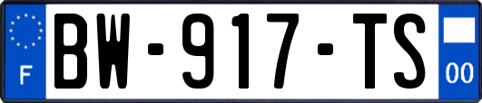 BW-917-TS