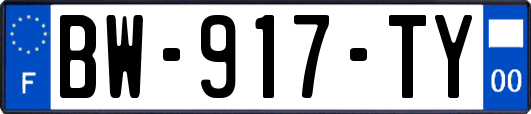 BW-917-TY