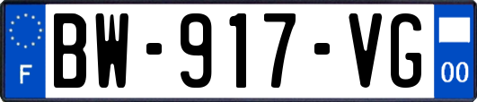 BW-917-VG