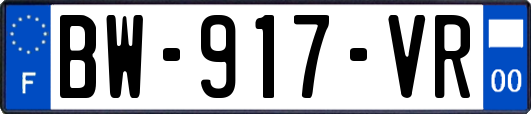BW-917-VR