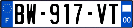 BW-917-VT